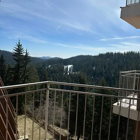 Dafovska 3*