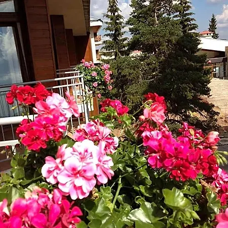 Hotel Dafovska