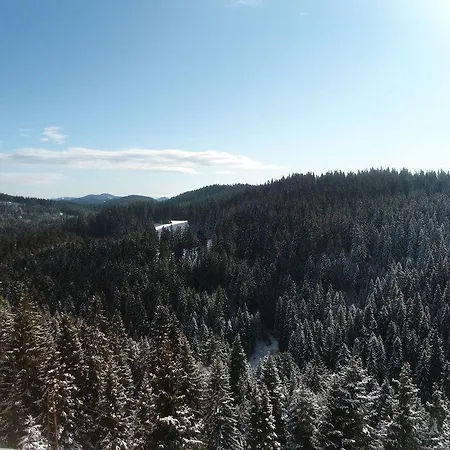 Dafovska فندق 3*
