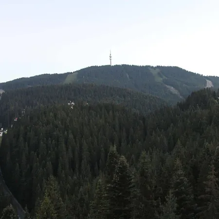 Dafovska فندق 3*